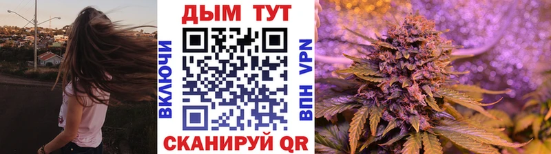 Шишки марихуана сатива  Куровское 